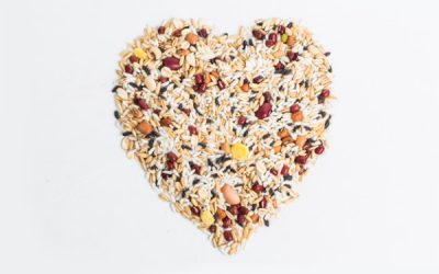 Alimentos sem glúten que pode inserir na sua alimentação