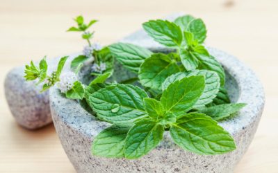 Porque deve recorrer à Naturopatia?