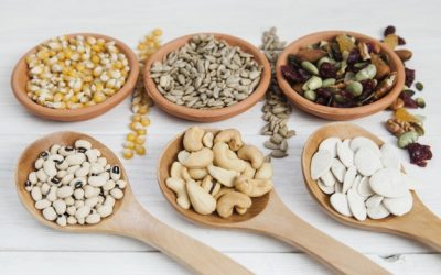 Porque deve consumir sementes de girassol