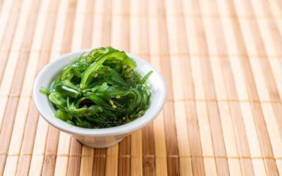 O que deve saber sobre as algas e o seu consumo