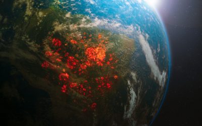 A destruição da Amazônia vai afetar também a área da cosmética e da farmacêutica