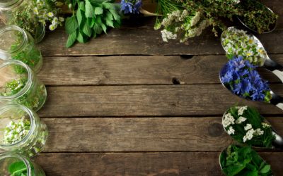 O percurso da homeopatia em Portugal