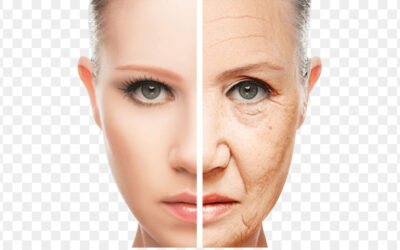 Primeiras rugas. Os melhores ingredientes para as prevenir